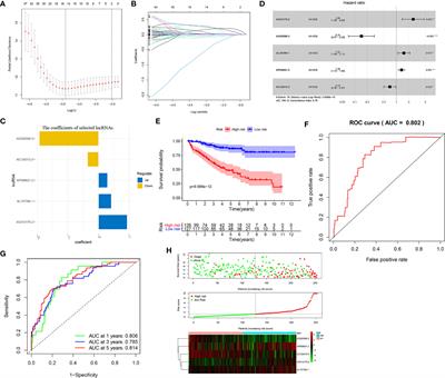 Identification of an m6A-Related lncRNA Signature for Predicting the Prognosis in Patients With Kidney Renal Clear Cell Carcinoma